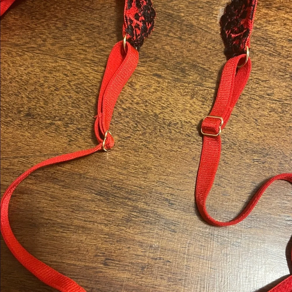 La Vie En Rose Semi-Sheer Red and Black Lace Bralette - Picture 10 of 10